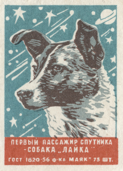 Laika - first dog in space